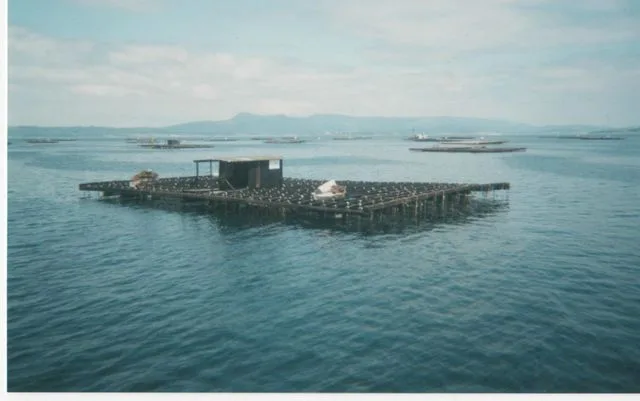 Galicia 2001 — foto 3